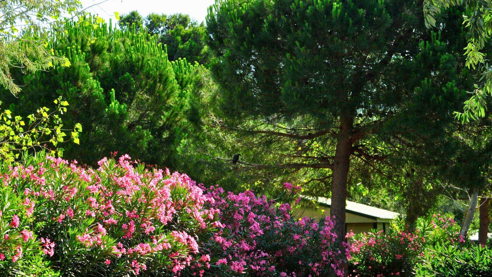 jardin-ariane